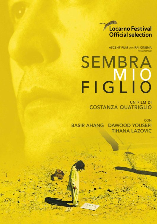 Locandina Sembra mio figlio