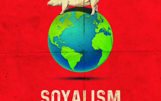 Locandina Soyalism