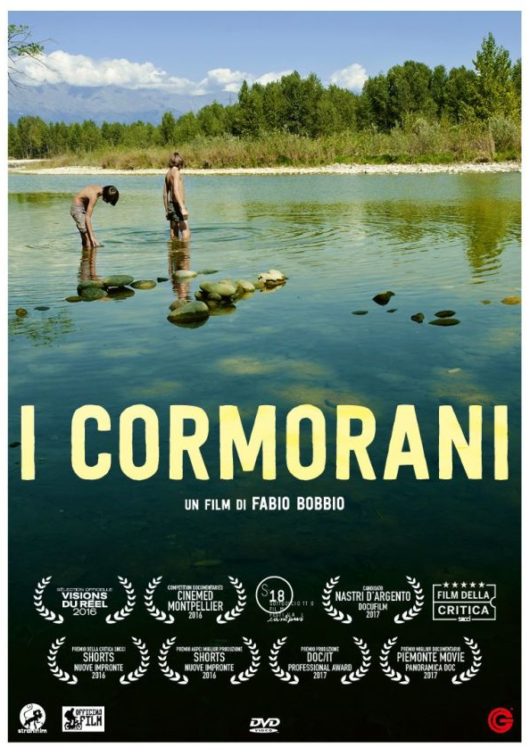 Locandina I cormorani