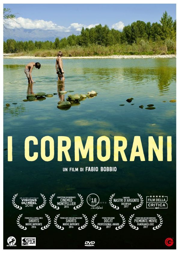 I cormorani