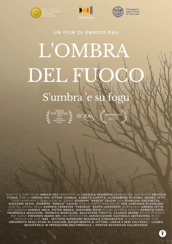 WhatsApp Image 2024-10-17 at 10.58.14