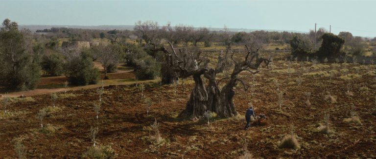 A tutto schermo 2023: tra ambiente e retaggio culturale